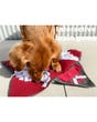 Dog with snuffle mat