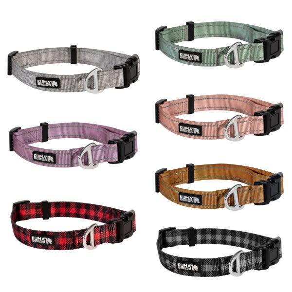 Dog collar buy shop