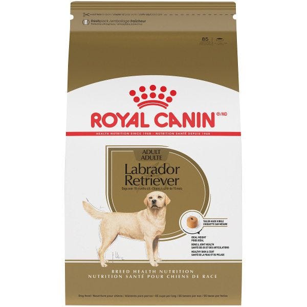 Royal Canin Labrador Retriever Adult Dog Food Buy at Homesalive