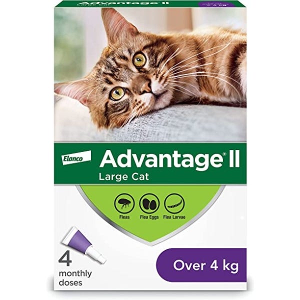 Discount flea treatment for on sale cats