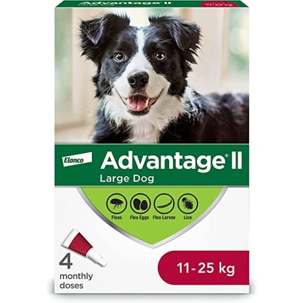 Cheap flea meds that work sales