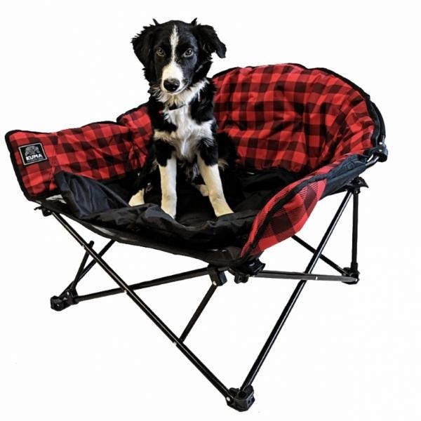 Dog bed for camping store