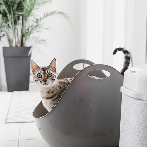 Cat litter locker hot sale