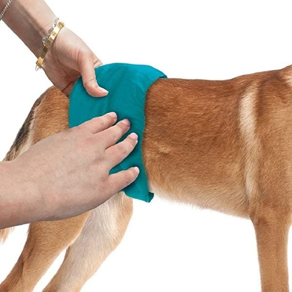 Simple Solutions Washable Male Dog Wrap Buy at Homesalive