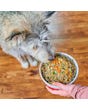 Stella & Chewy's Gently Cooked Freshmade Meal or Mixer - Gobblin' Good -dog