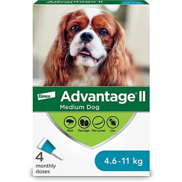 Elanco Advantage II Flea Treatment for Medium Dog Breeds Buy at Homesalive