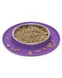 Messy Cats Single Silicone Feeder for Cats - Purple