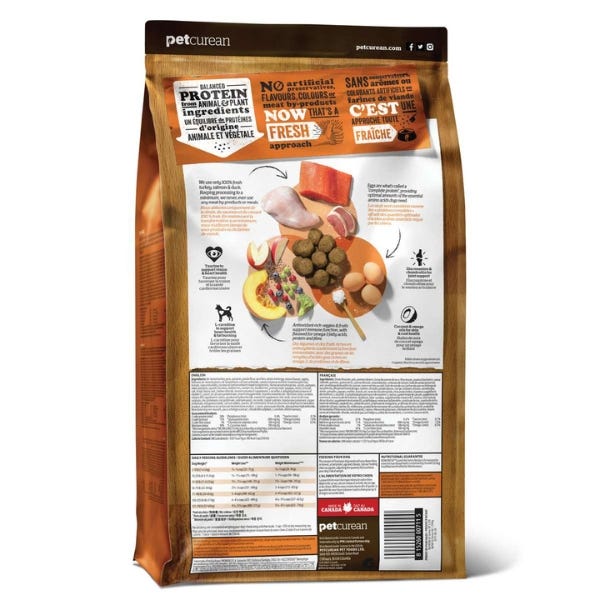 Now fresh hotsell senior dog food