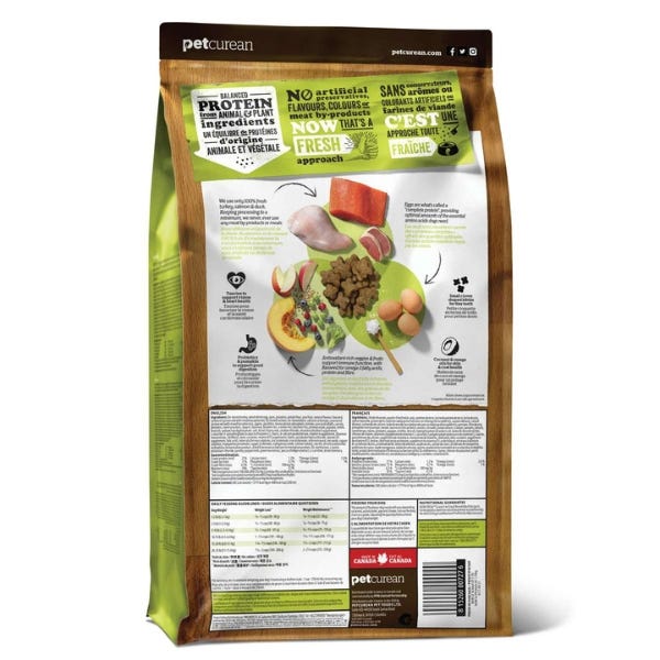 Now grain free dog food 2025