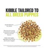 Now Fresh Grain-Free Recipe for Small Breed Puppies - Turkey, Salmon & Duck - Information