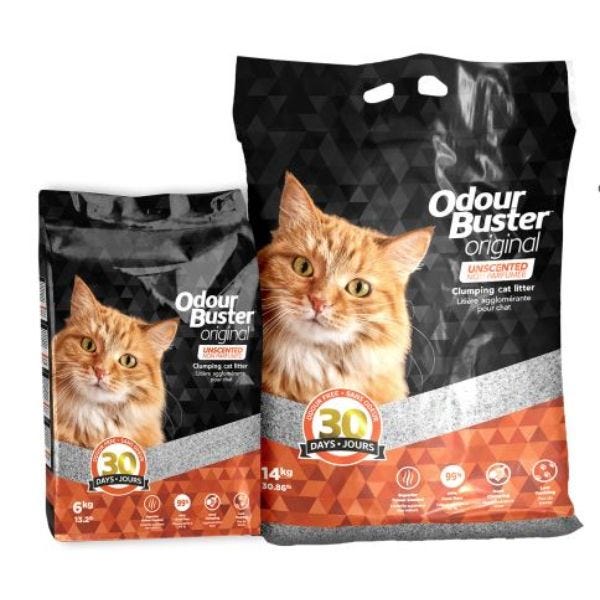 Cat hot sale litter online