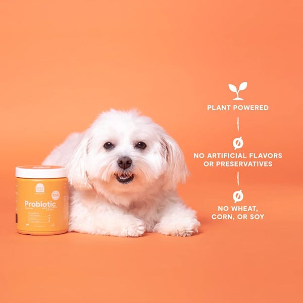 Open Farm Probiotic Supplement Chews for Dogs