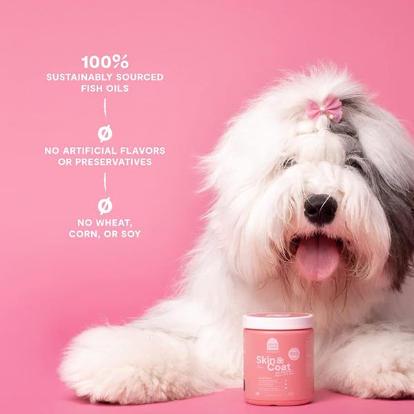 Open Farm Skin & Coat Supplement Chew for Dogs