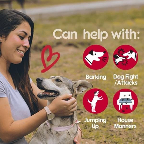 Company Of Animals Pet Corrector Buy at Homesalive