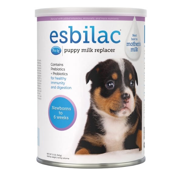 Homemade milk replacer for puppies shop