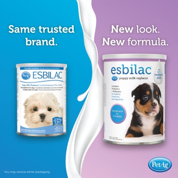 Newborn puppy on sale milk replacement