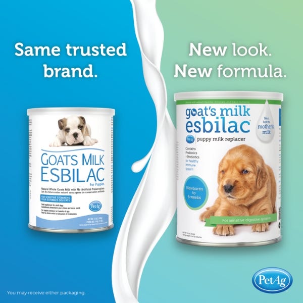 Kid milk replacer hot sale for puppies