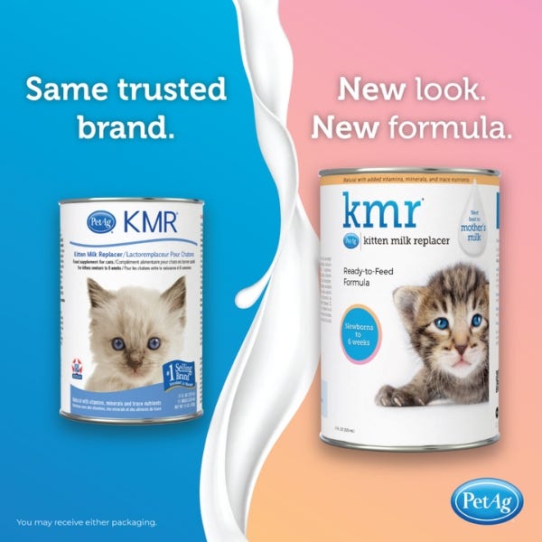 Kitten milk 2025