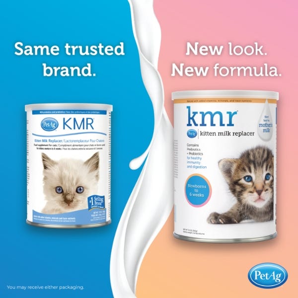 PetAg KMR Kitten Powdered Milk Replacer Buy at Homesalive