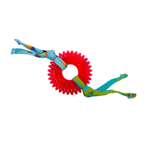 PetStages Dental Kitty Chew Wheel Cat Toy Buy at Homesalive