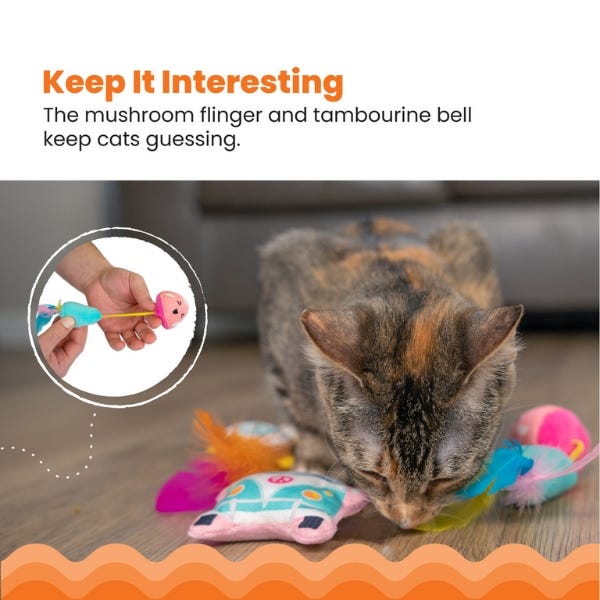 Interesting cat toys top