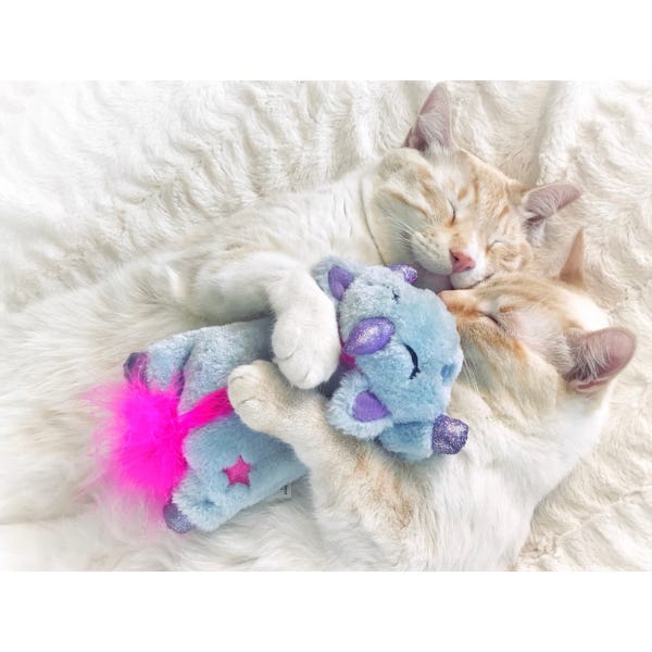 Petstages kitty cuddle pal shop
