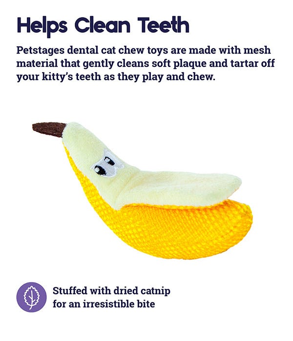 Petstages dental kitty deals chew wheel