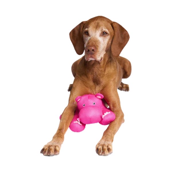 Canada Pooch Chill Seeker Cooling Pals Pink Hippo