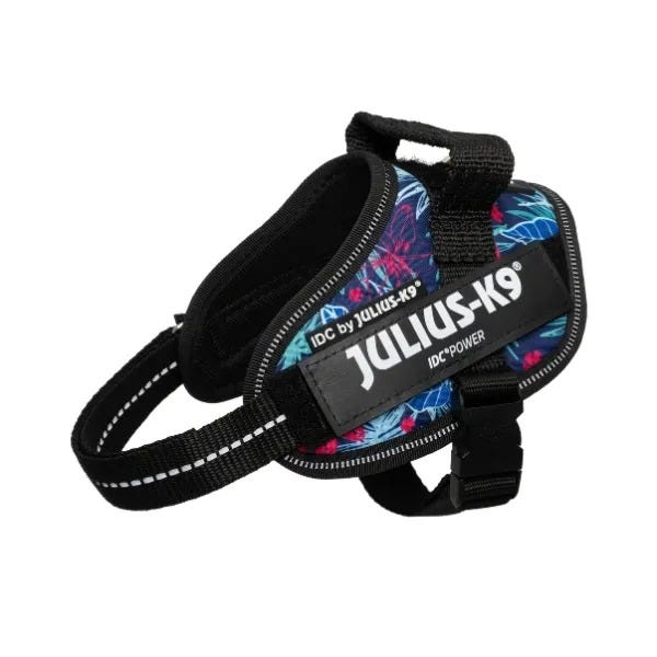 Julius K9 IDC Powerharness Hawaiian
