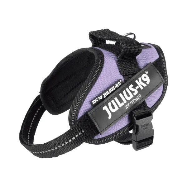 Purple julius k9 harness online