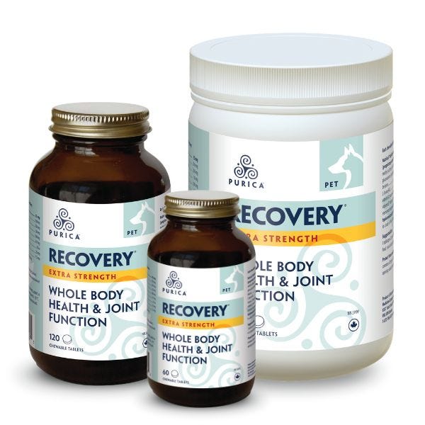 Recovery supplement for dogs hot sale
