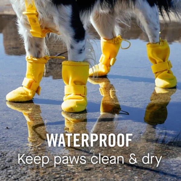 Canada Pooch Waterproof Rain Boots Buy at Homesalive