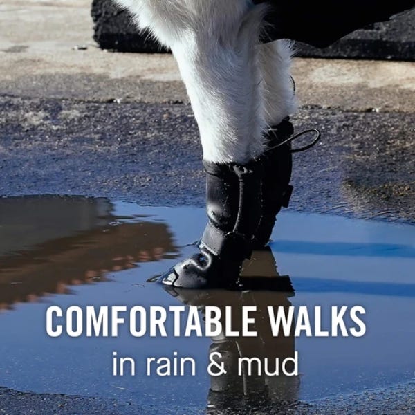 Canadian made rain sales boots