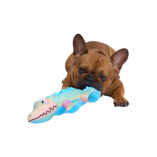 Puppy teething toys freeze 2025