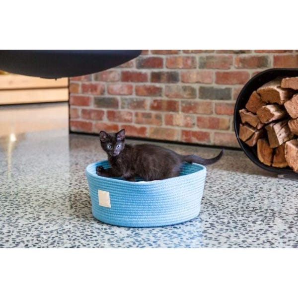 Buy FuzzYard Life Rope Basket Bed in Canada Homes Alive Pets
