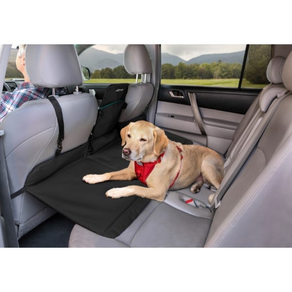 Backseat bridge for pets shop