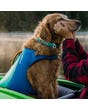 Ruffwear Float Coat Life Jacket for Dogs - On Dog