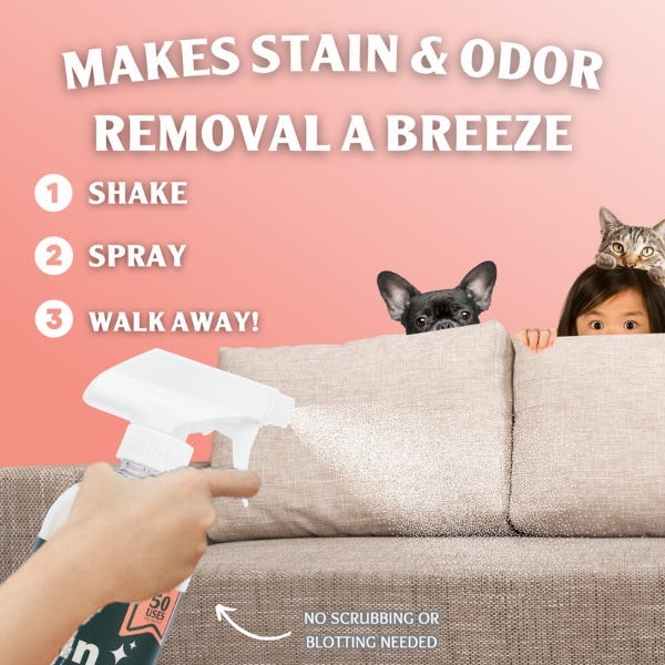 Cat spraying odor removal sales