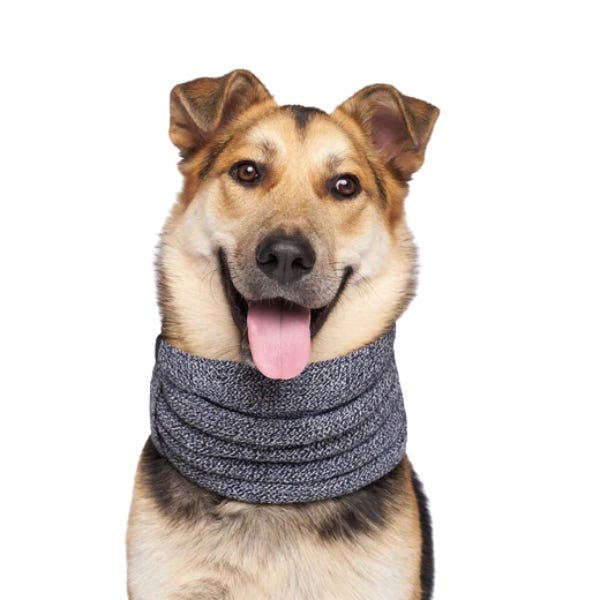 Canada hot sale pooch scarf