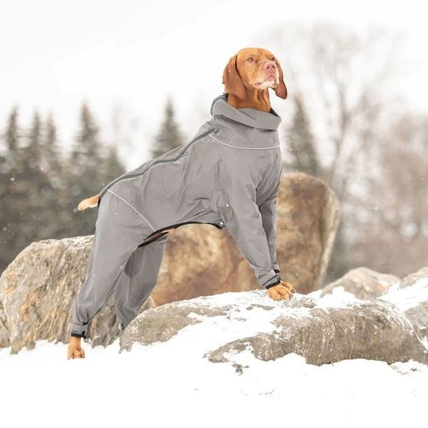 Dog waterproof suit shop