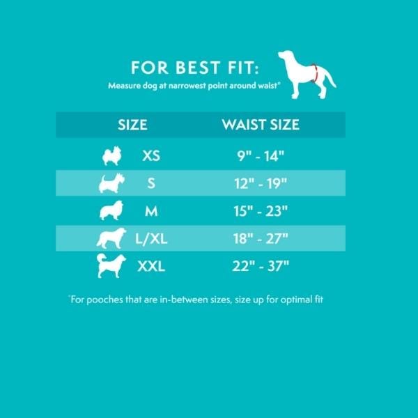 Dogit disposable diapers clearance