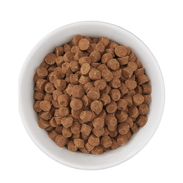 Carnivore top cat food