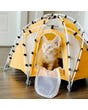 Cat in tent