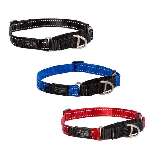 Rogz Control Collar Web Dog Collar