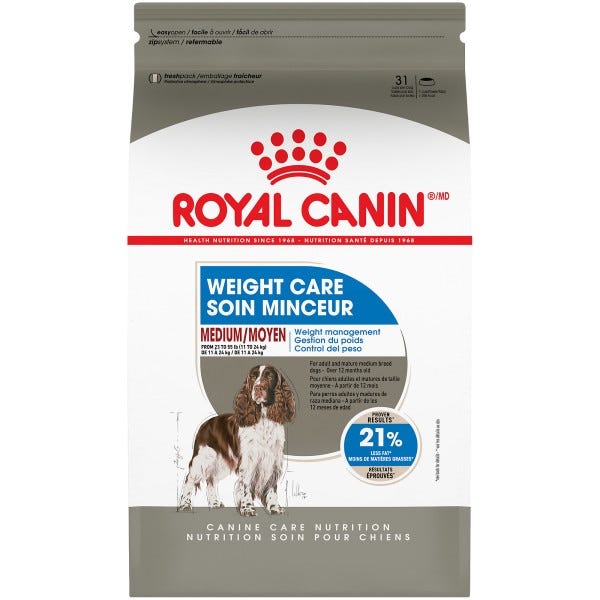 Weight of hot sale a medium dog