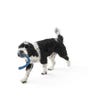 West Paw Design Snorkl Dog Toy