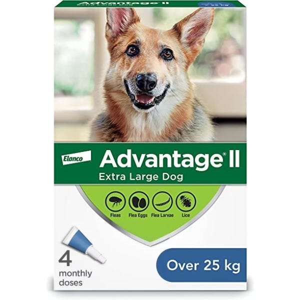 Elanco Advantage II Flea Treatment for X Large Dog Breeds Buy at Homesalive