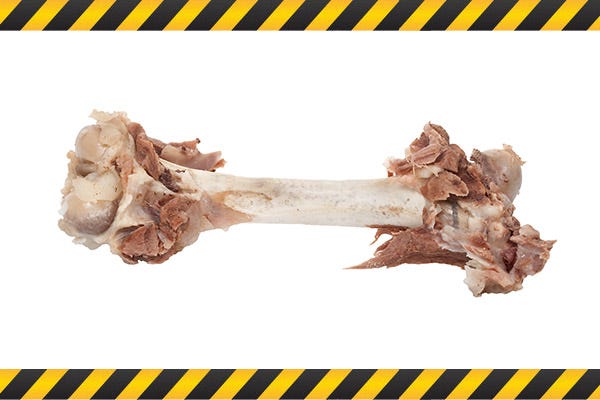 top 10 toxic foods for dogs