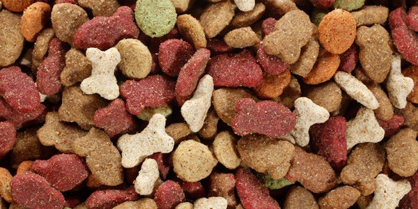 ingredients to avoid in dog food