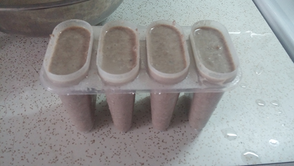 dog popsicles diygreen lipped mussel benefits